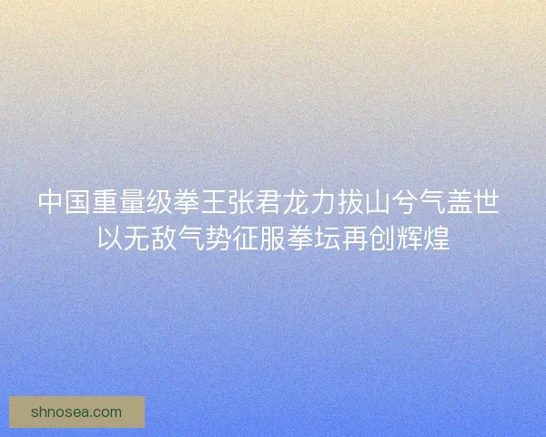 中国重量级拳王张君龙力拔山兮气盖世 以无敌气势征服拳坛再创辉煌